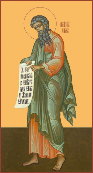 Праотец Сим, икона (арт.5837)