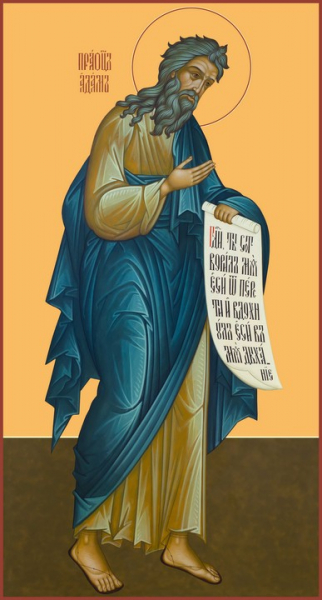 Праотец Адам, икона (арт.5840)